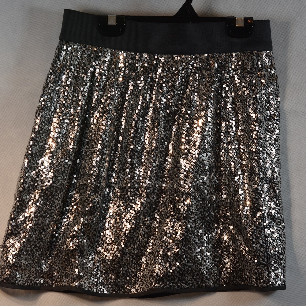 GAP Sequin Skirt SZ 4